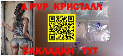 стаф Камышлов