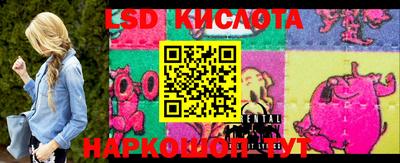стаф Камышлов