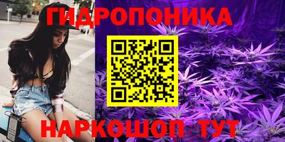 прущие крисы Канаш