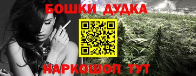 стаф Камышлов