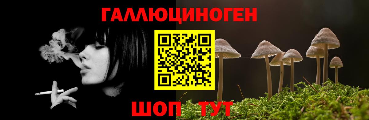 Псилоцибиновые грибы Cubensis  где купить наркотик  Вход с VPN  Чебоксары  Галлюциногенные грибы MAGIC MUSHROOMS 